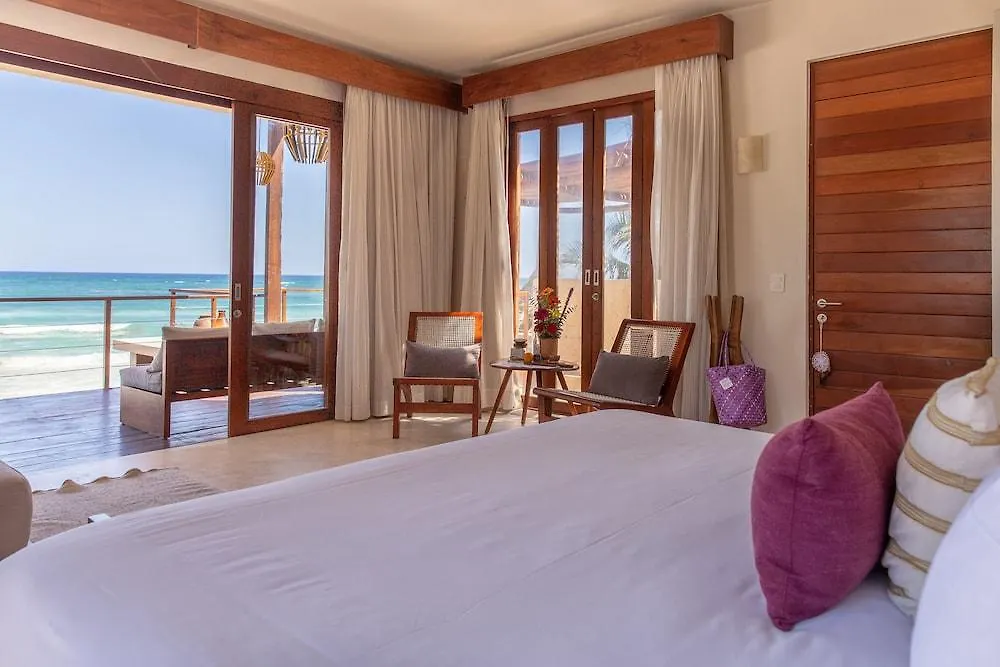 La Zebra Colibri Boutique Hotels Tulum