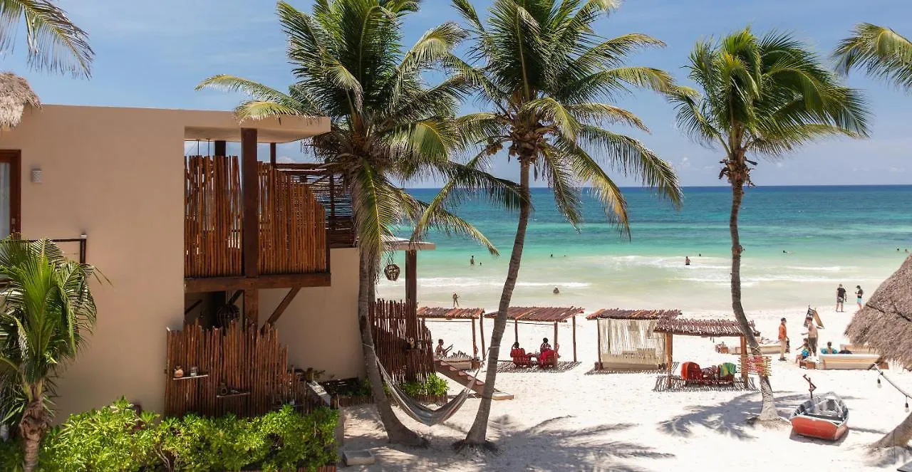 La Zebra Colibri Boutique Hotels Tulum