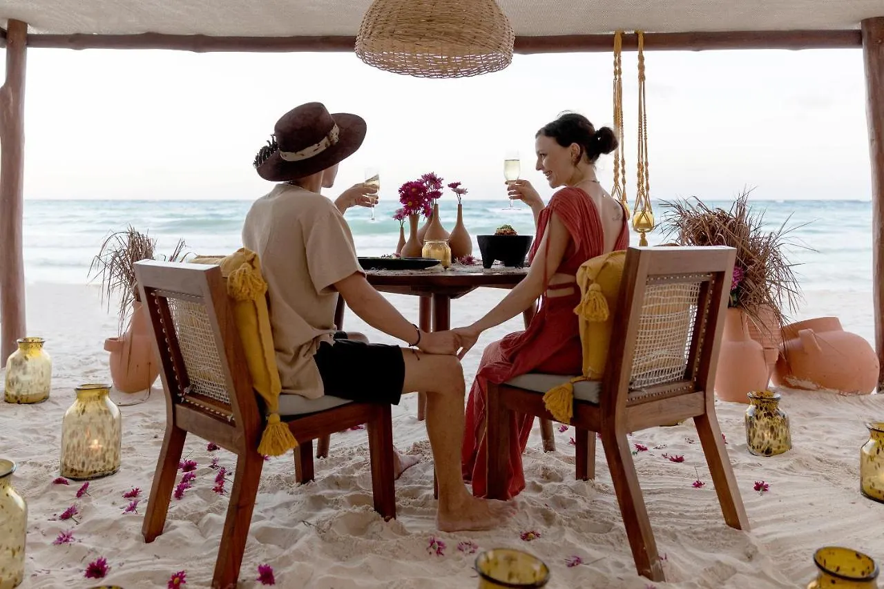 La Zebra Colibri Boutique Hotels Tulum