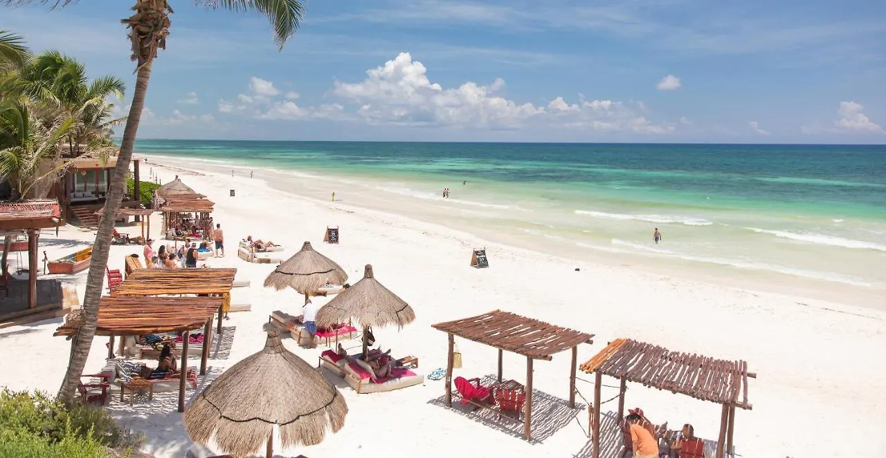 La Zebra Colibri Boutique Hotels Tulum
