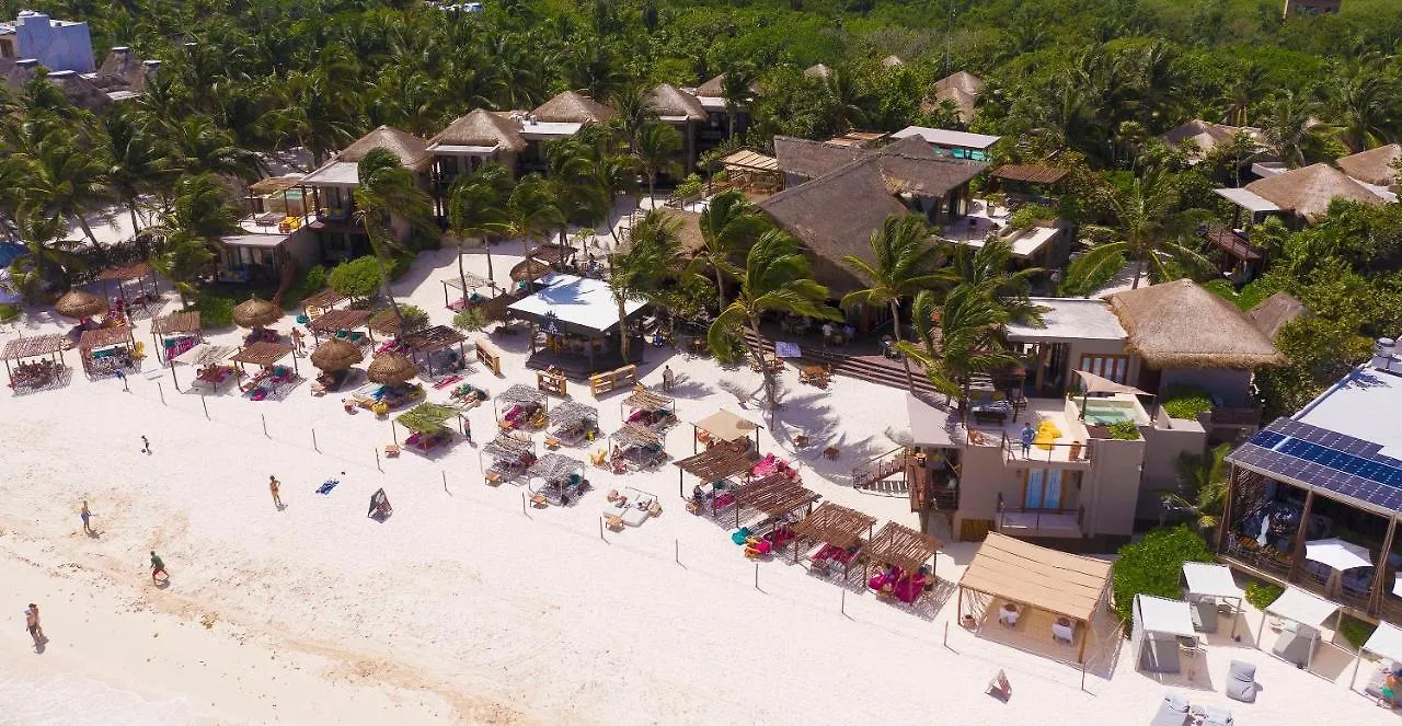 La Zebra Colibri Boutique Hotels Tulum Mexico