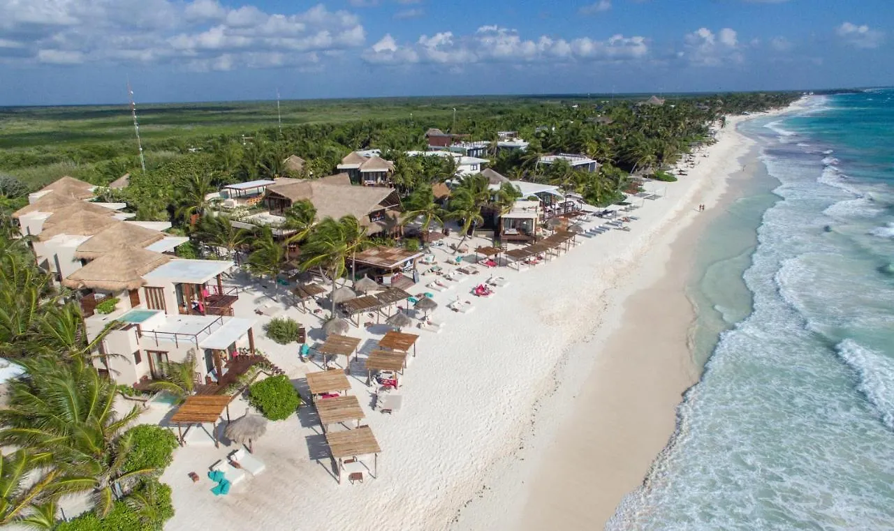La Zebra Colibri Boutique Hotels Tulum