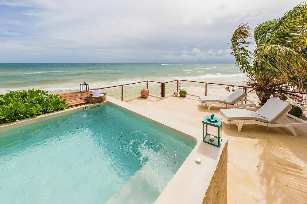 La Zebra Colibri Boutique Hotels Tulum