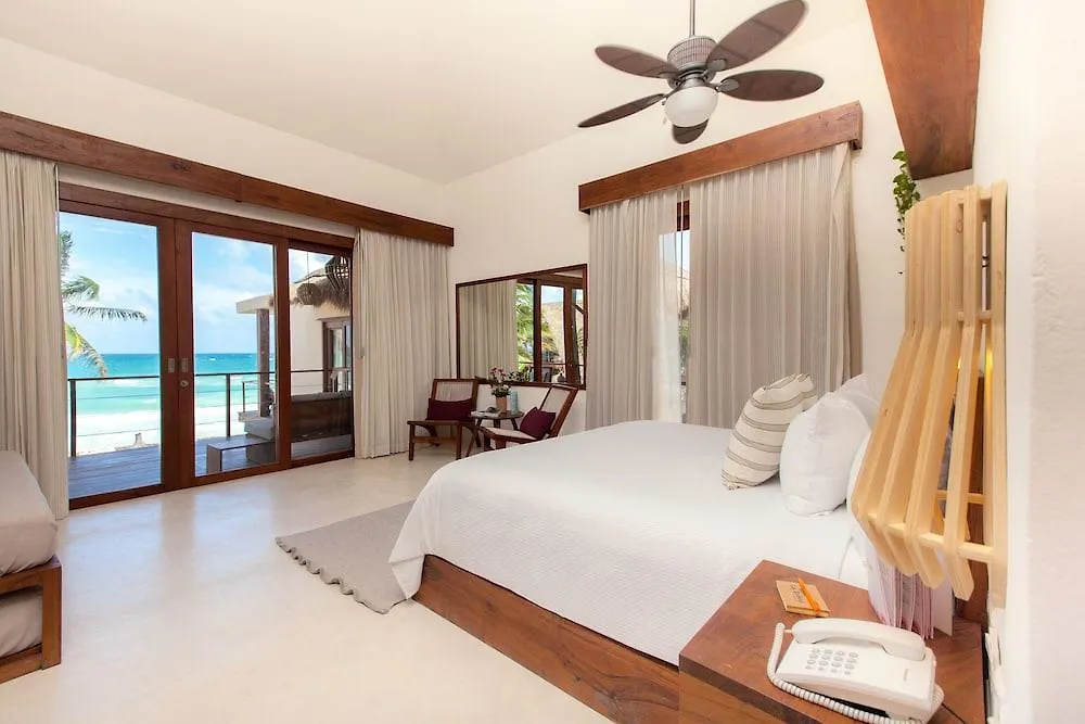 La Zebra Colibri Boutique Hotels Tulum Mexico