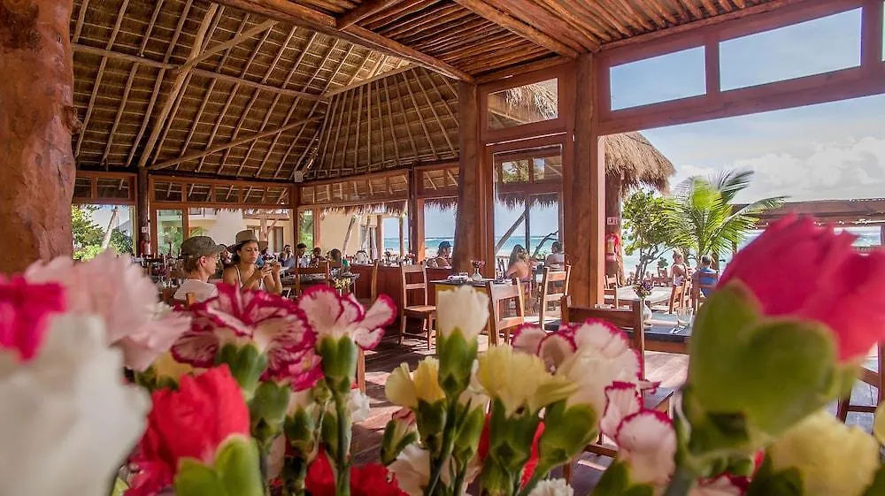 ****  La Zebra Colibri Boutique Hotels Tulum Mexico